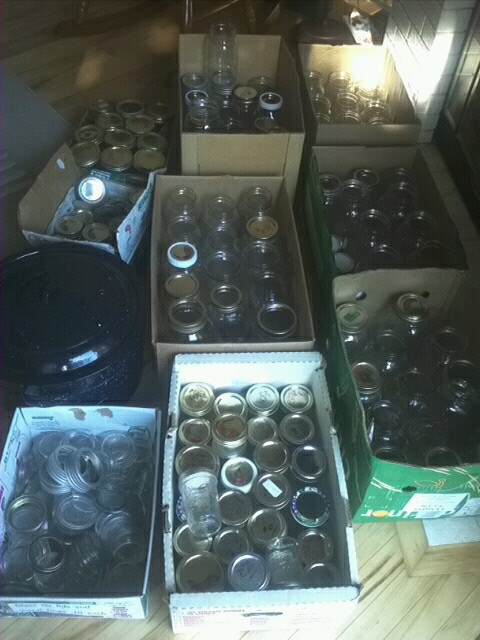 That's around 100 jars. YOU CAN NEVER HAVE TOO MANY JARS.